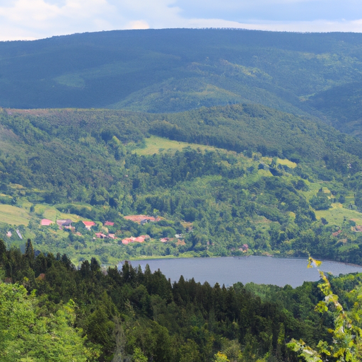 Vitrier du département Vosges