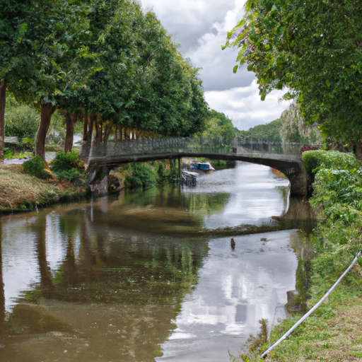 vitrier Ouzouer-sur-Trézée